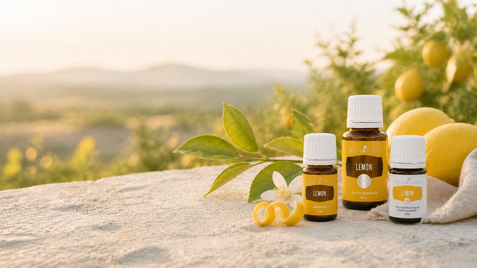 Young Living Lemon in 15 und 5 ml sowie Lemon+ mit frischen Zitronen im hellen Nachmittagslicht
