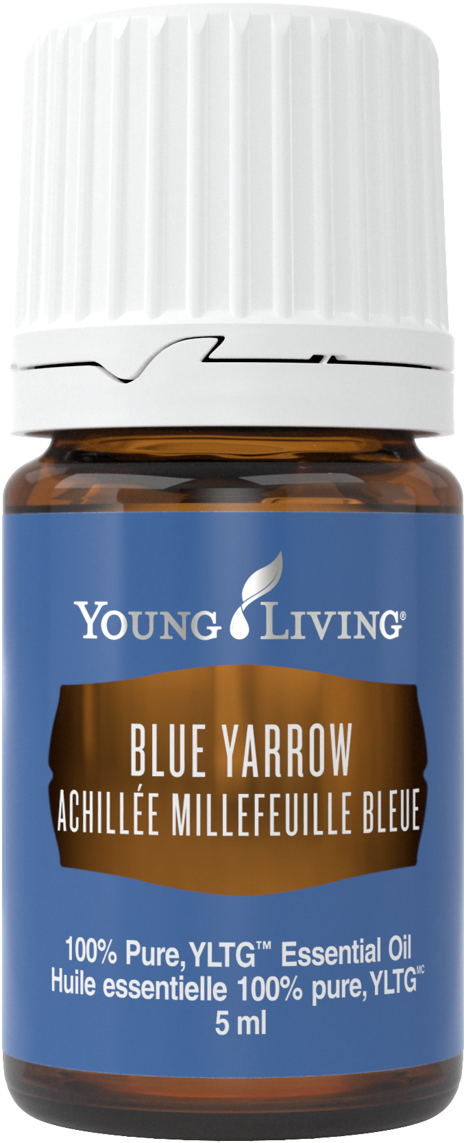 Freigestelltes Young Living Produktbild: Blue Yarrow