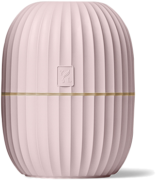 Freigestelltes Young Living Produktbild: Cactus Diffuser