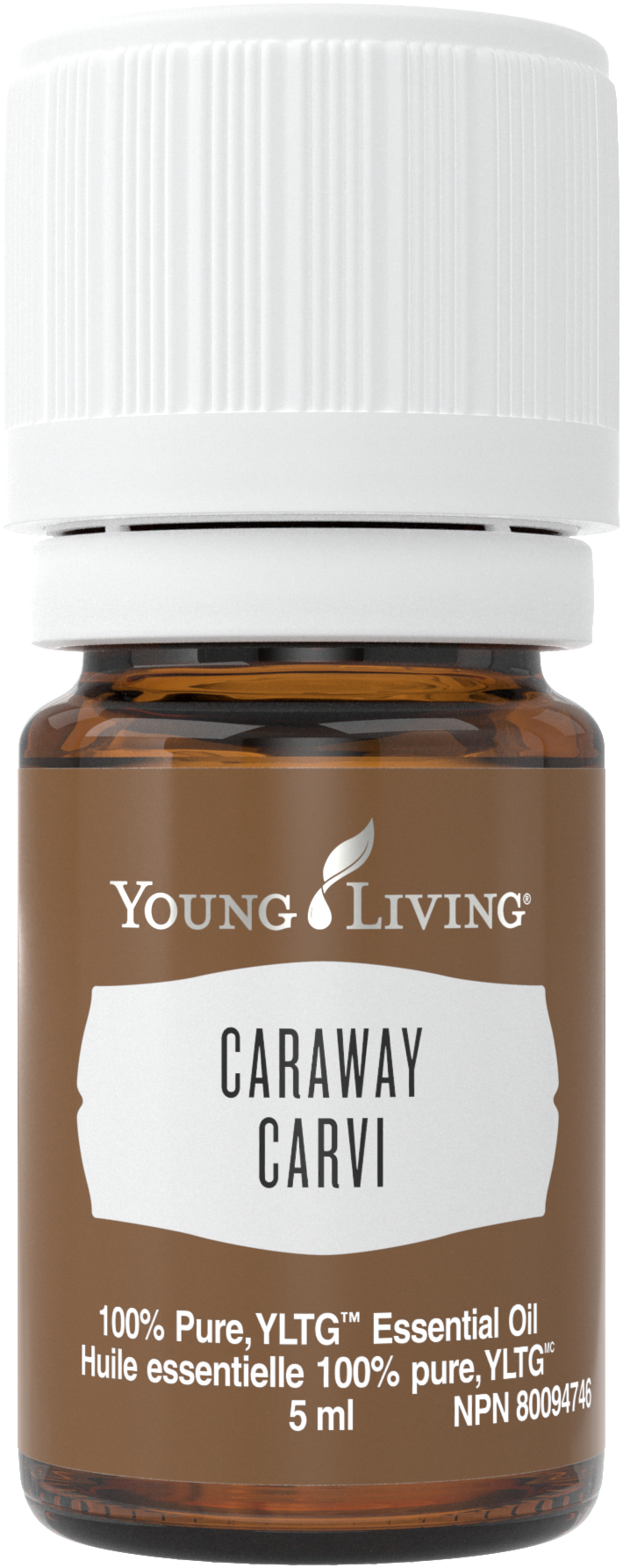 Freigestelltes Young Living Produktbild: Caraway