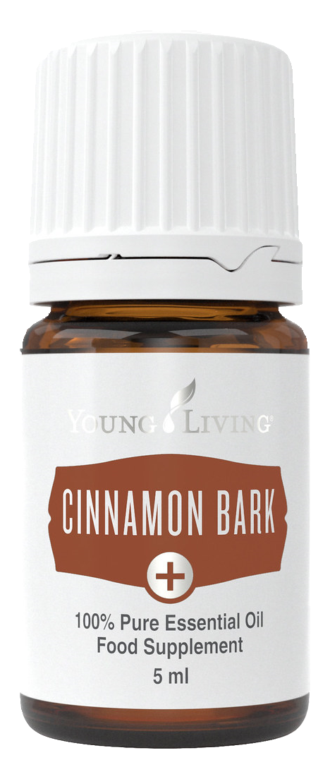 Cinnamon Bark+ Flasche