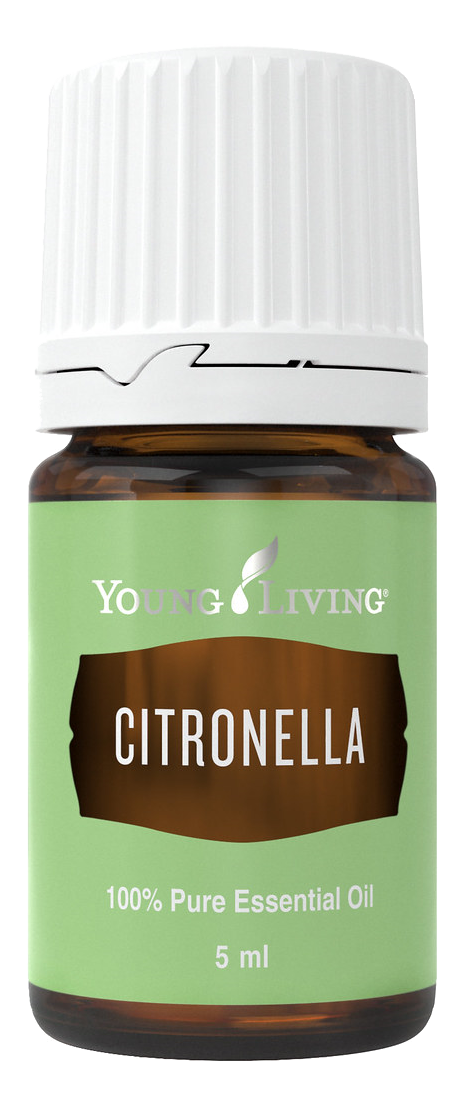 Freigestelltes Young Living Produktbild: Citronella