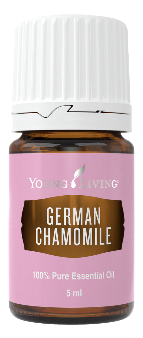 Freigestelltes Young Living Produktbild: German Chamomile
