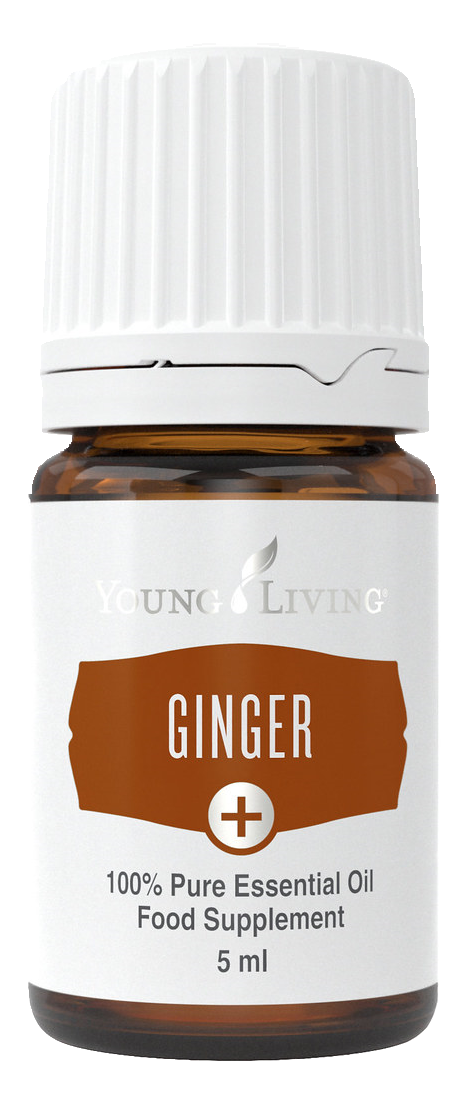Ginger+ Flasche