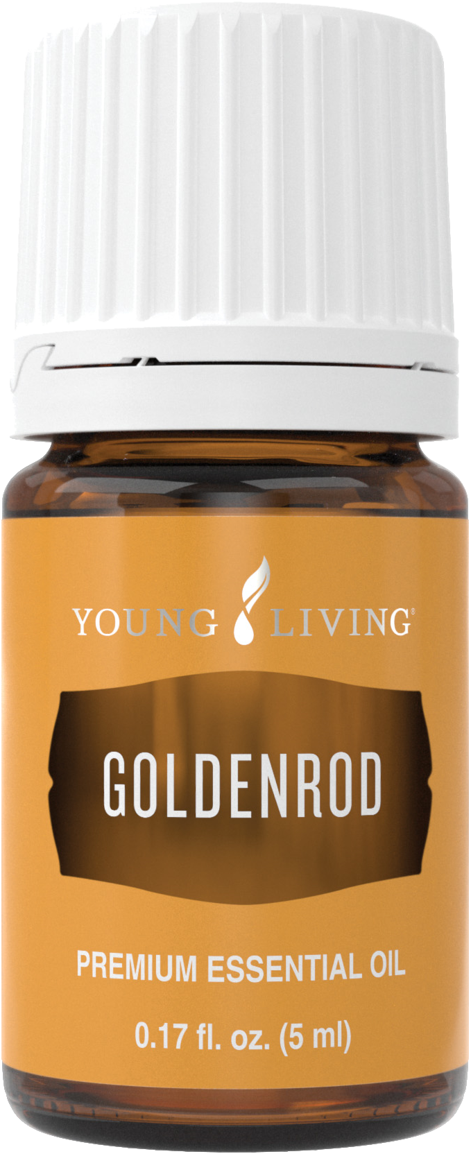 Freigestelltes Young Living Produktbild: Goldenrod