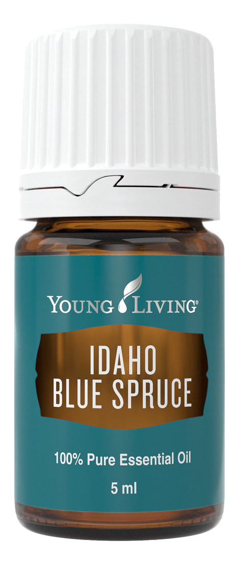 Freigestelltes Young Living Produktbild: Idaho Blue Spruce