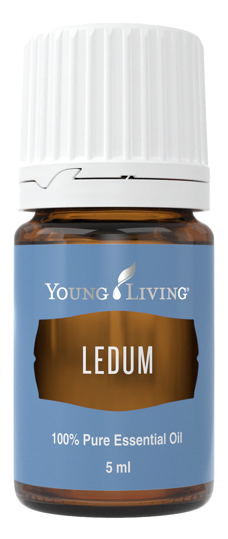 Freigestelltes Young Living Produktbild: Ledum